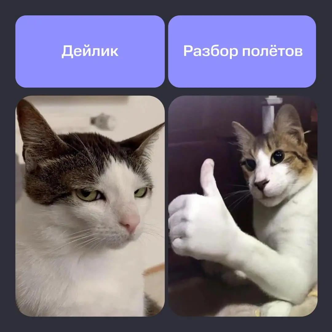 Товарищи, привыкаем к новой корпоративной коммуникации 👔 | Сетка — социальная сеть от hh.ru