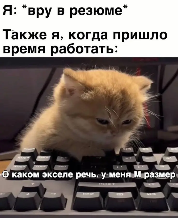 Труженики! 🐝
Готовим для вас крутой подкаст и чеклист про скам в резюме!
Чтобы вы знали, какие резюме рекрутеры закрывают сразу, потому что они слишком подозрительны!
Вы можете быстро проверить себя у... | Сетка — социальная сеть от hh.ru