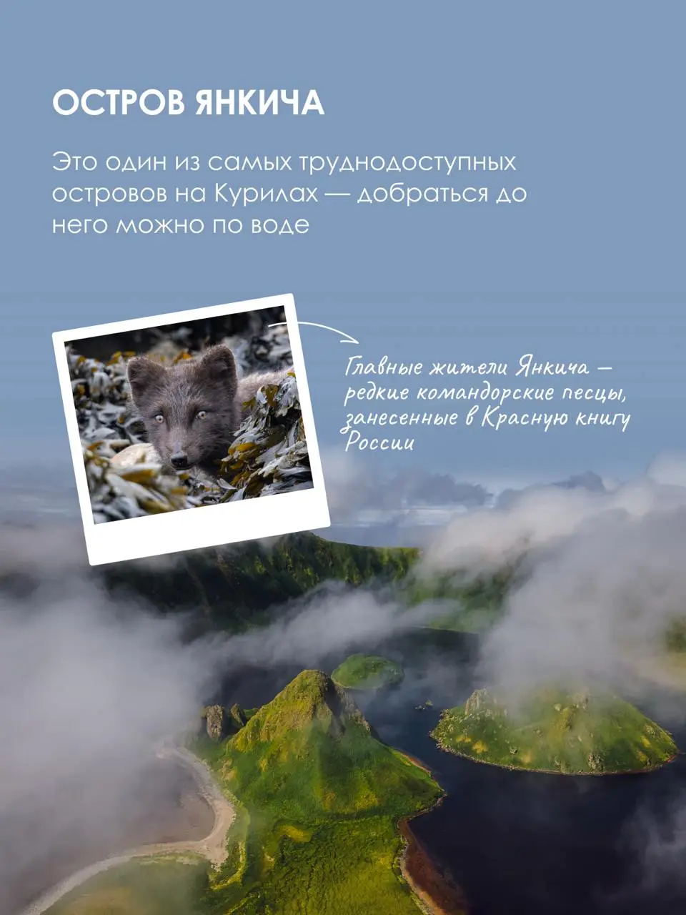 Бывают путешествия, которые не просто запоминаются, они становятся частью вашей биографии.
RussiaDiscovery уже больше 20 лет организует путешествия по самым труднодоступным регионам России и мира | Сетка — социальная сеть от hh.ru
