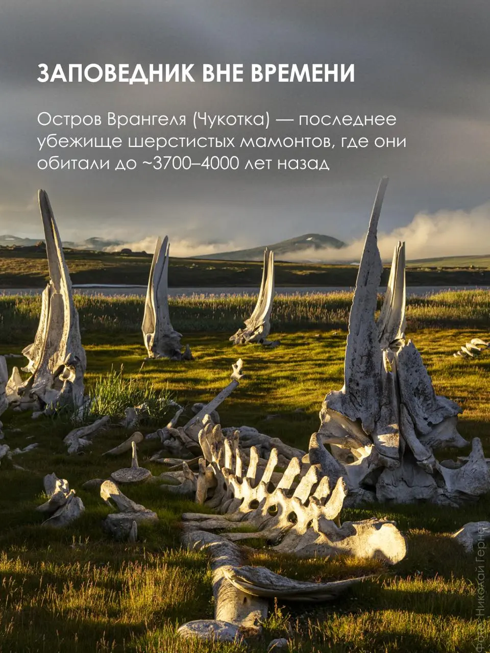 Бывают путешествия, которые не просто запоминаются, они становятся частью вашей биографии.
RussiaDiscovery уже больше 20 лет организует путешествия по самым труднодоступным регионам России и мира | Сетка — социальная сеть от hh.ru