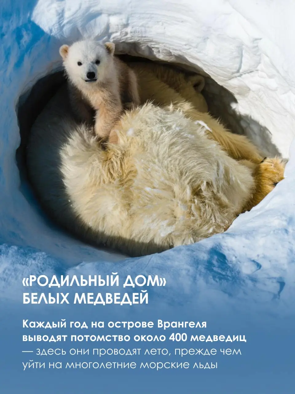 Бывают путешествия, которые не просто запоминаются, они становятся частью вашей биографии.
RussiaDiscovery уже больше 20 лет организует путешествия по самым труднодоступным регионам России и мира | Сетка — социальная сеть от hh.ru