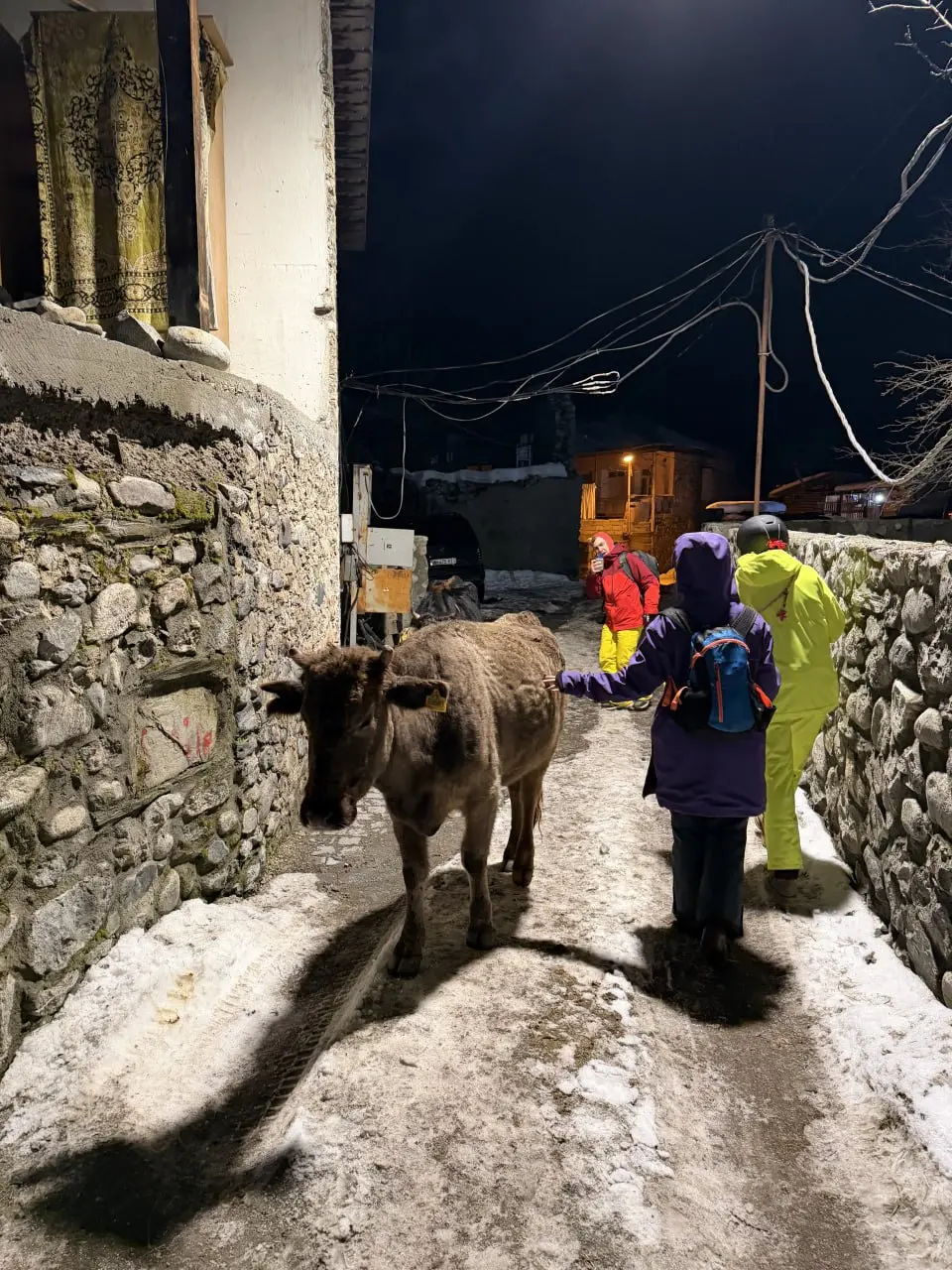 🏔Сванетия: новый горнолыжный тур от AlpSkiMSU
Не уверен, что кто-то следит за логической цепочкой в постах о путешествиях: начали мы за Азию, оказались в Японии. Что же дальше? Правильно! Грузия | Сетка — социальная сеть от hh.ru