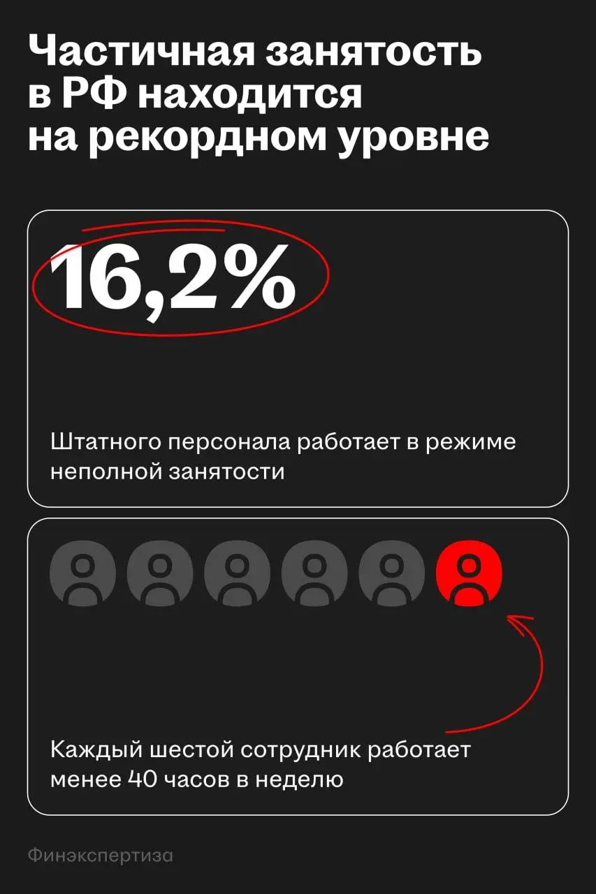 Частичная и гибкая занятость продолжает расти
🌟 Масштаб рынка
В России более 21 млн человек заняты вне классического найма: 15,6 млн самозанятых и 5,5 млн сотрудников с частичной занятостью | Сетка — социальная сеть от hh.ru