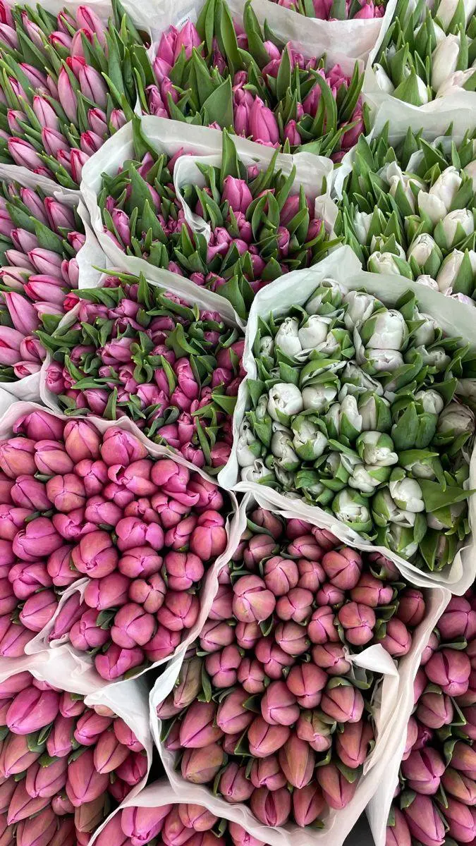🌷Женщинам будут дарить цветы в Москве 8 марта
📍На Тверской площади и старом Арбате будут дарить цветы с 10:00 до 13:00
📍А еще, на 36 площадках, включая станции метро «Электрозаводская», «Семеновская»,... | Сетка — социальная сеть от hh.ru