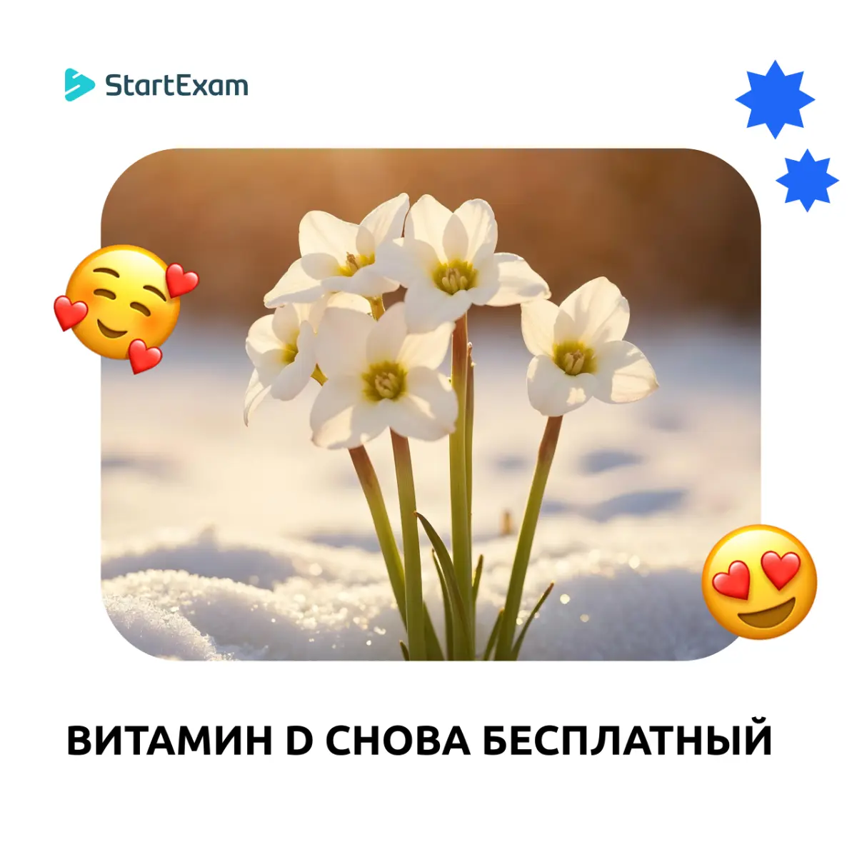 Что подарить коллегам на 8 марта? | Сетка — социальная сеть от hh.ru