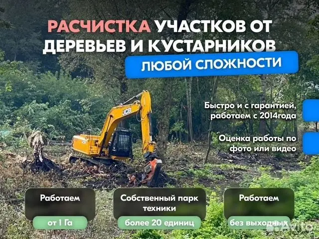 Расчистка территорий от деревьев и пней от 1 Га | Сетка — социальная сеть от hh.ru