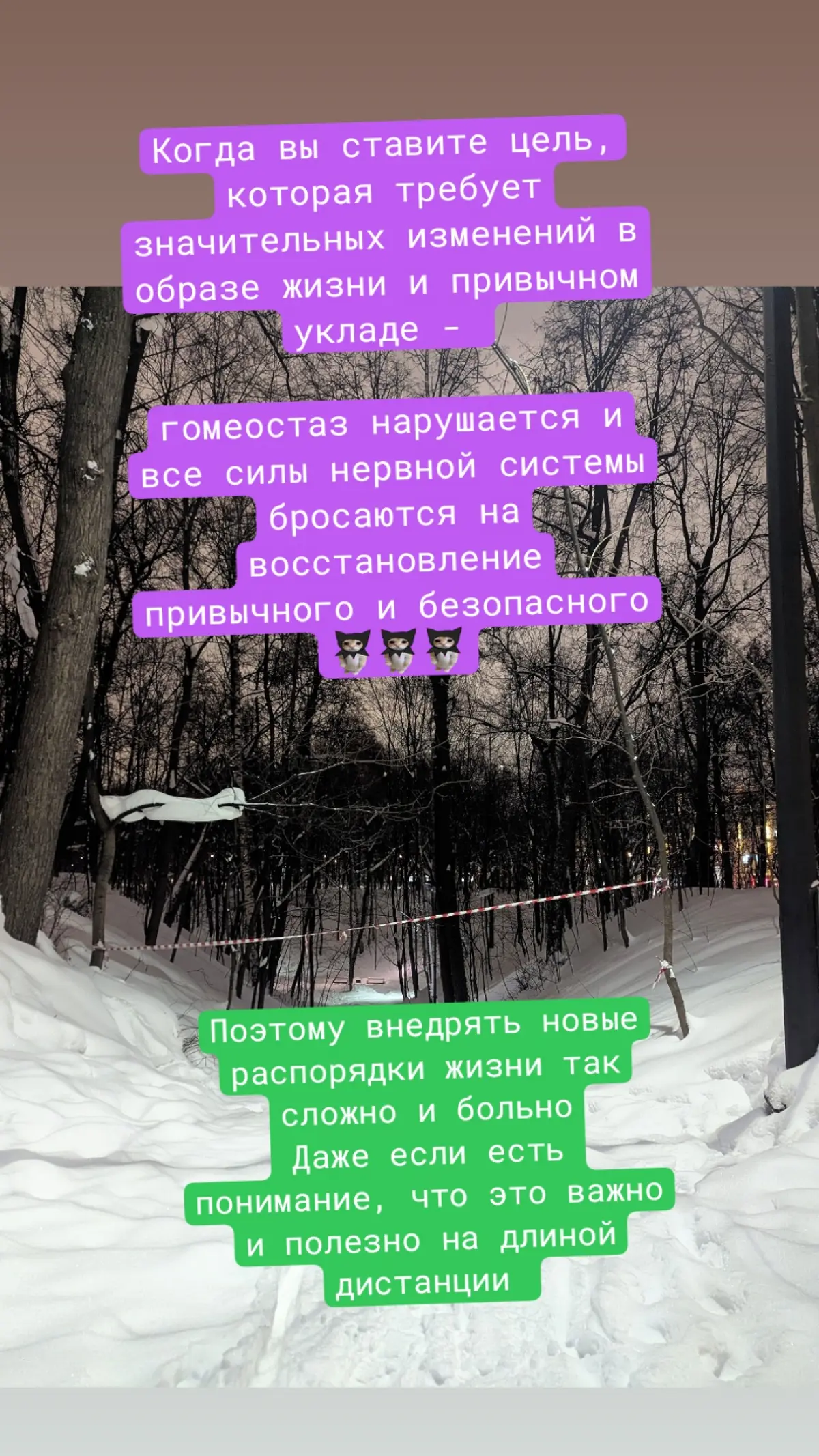 Нейроспринты и почему это круто | Сетка — социальная сеть от hh.ru