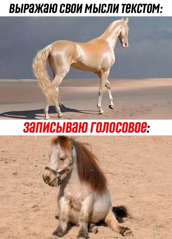 В рабочем чате | Сетка — социальная сеть от hh.ru