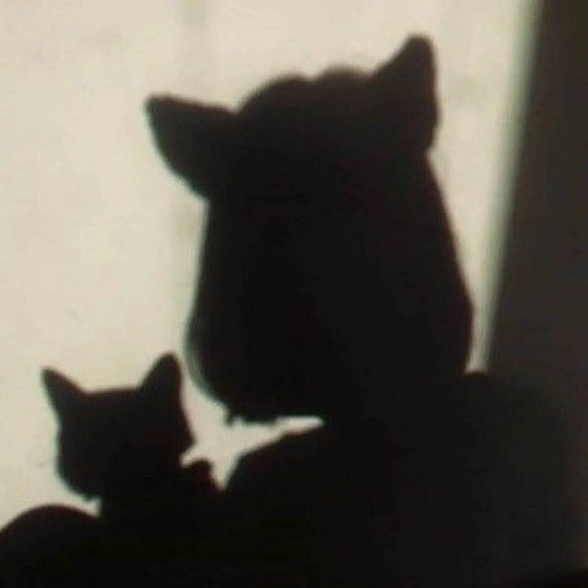 Григорий Гордеев | Сетка — социальная сеть от hh.ru