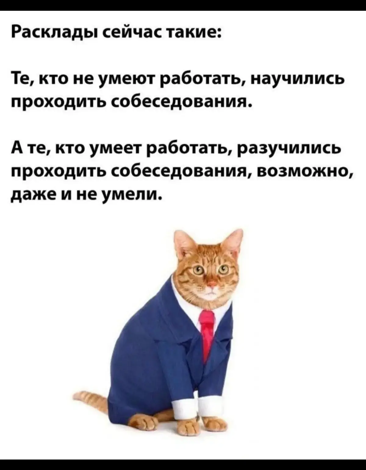 Что-то на кандидатском 😁 | Сетка — социальная сеть от hh.ru