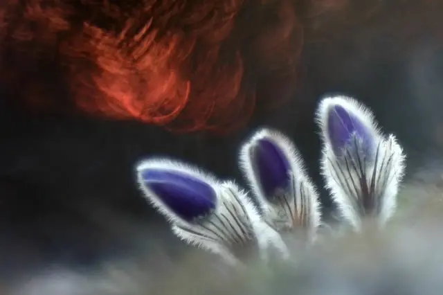 Дикая природа в ритме большого города! 🐢
Розыгрыш к 8️⃣ Марта!
📸😎Запускаем розыгрыш лимитированной коллекции «Тройка» с работами-победителями Международного конкурса «Золотая черепаха» | Сетка — социальная сеть от hh.ru