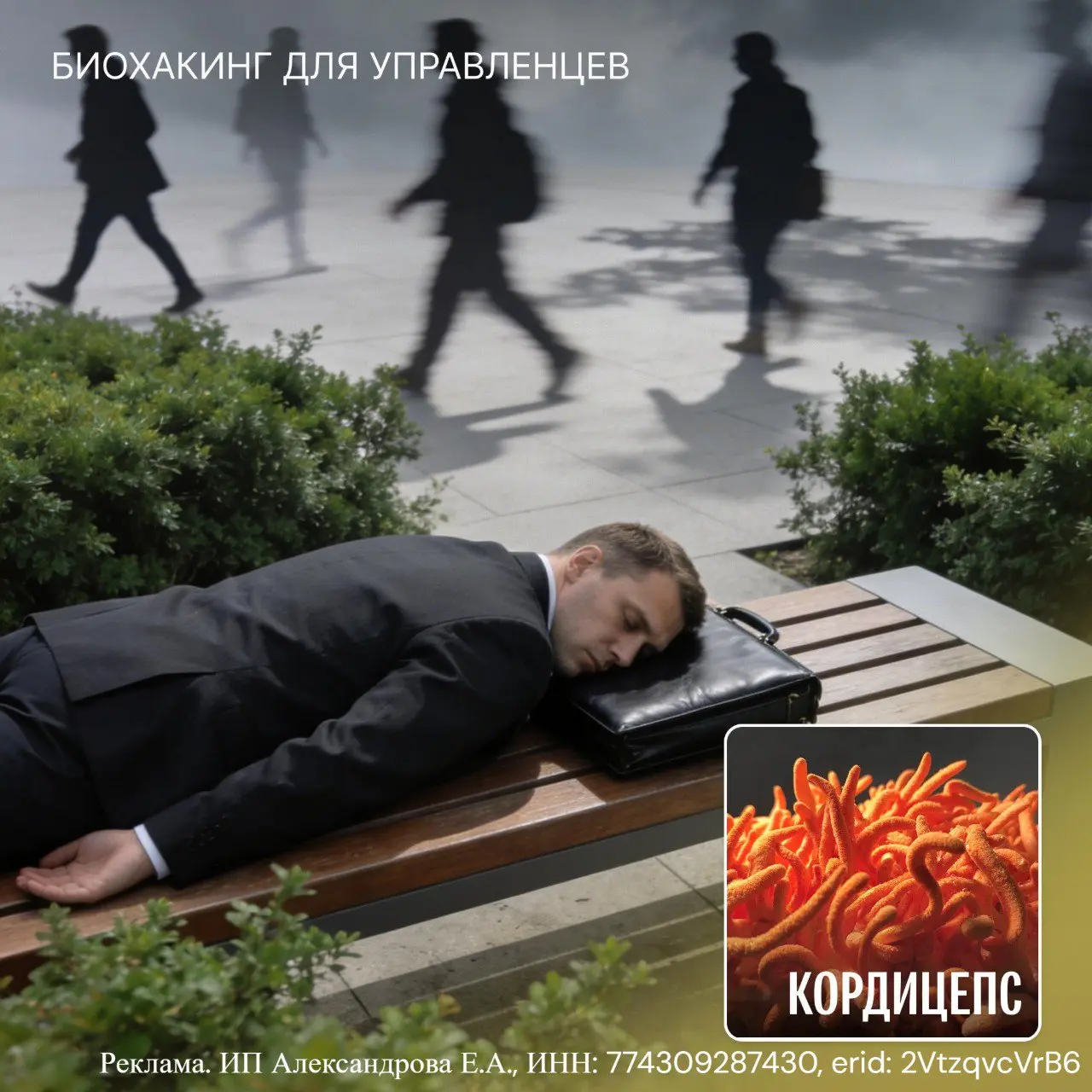 Энергия под давлением: почему заканчивается ресурс
Продолжаем рубрику «Биохакинг для управленцев» от FUNGILINE — команды Михаила Вишневского, которая соединяет науку о грибах, биохакинг и практику упр... | Сетка — социальная сеть от hh.ru