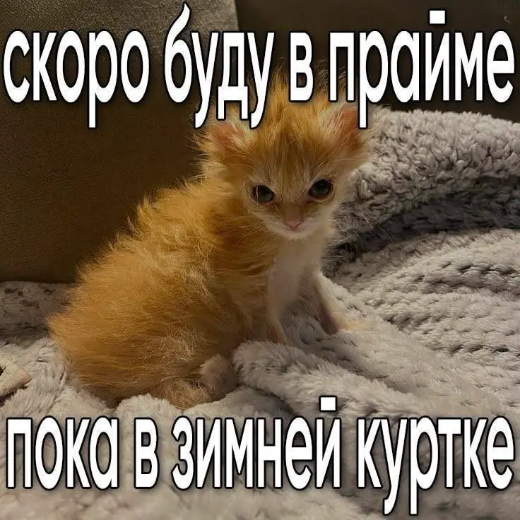 Оффера все нет | Сетка — социальная сеть от hh.ru