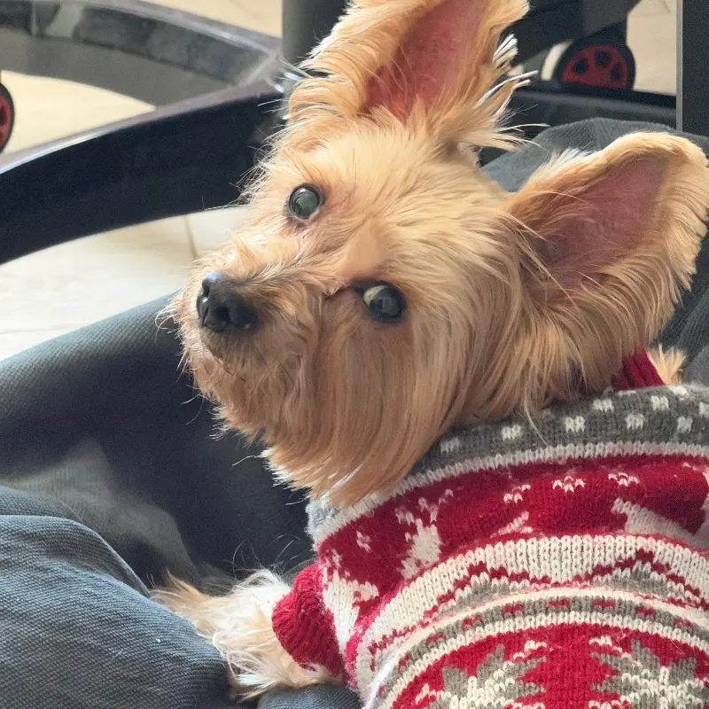 Надежда Алехина