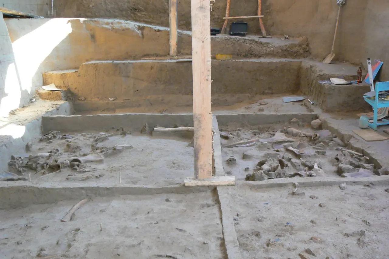 Зачем археологи оставляют эти дурацкие бровки? 🏺🕵️‍♂️
Если вы когда-нибудь видели раскопки, то замечали: вся площадь разбита на квадраты, а между ними — узкие полоски нетронутой земли | Сетка — социальная сеть от hh.ru