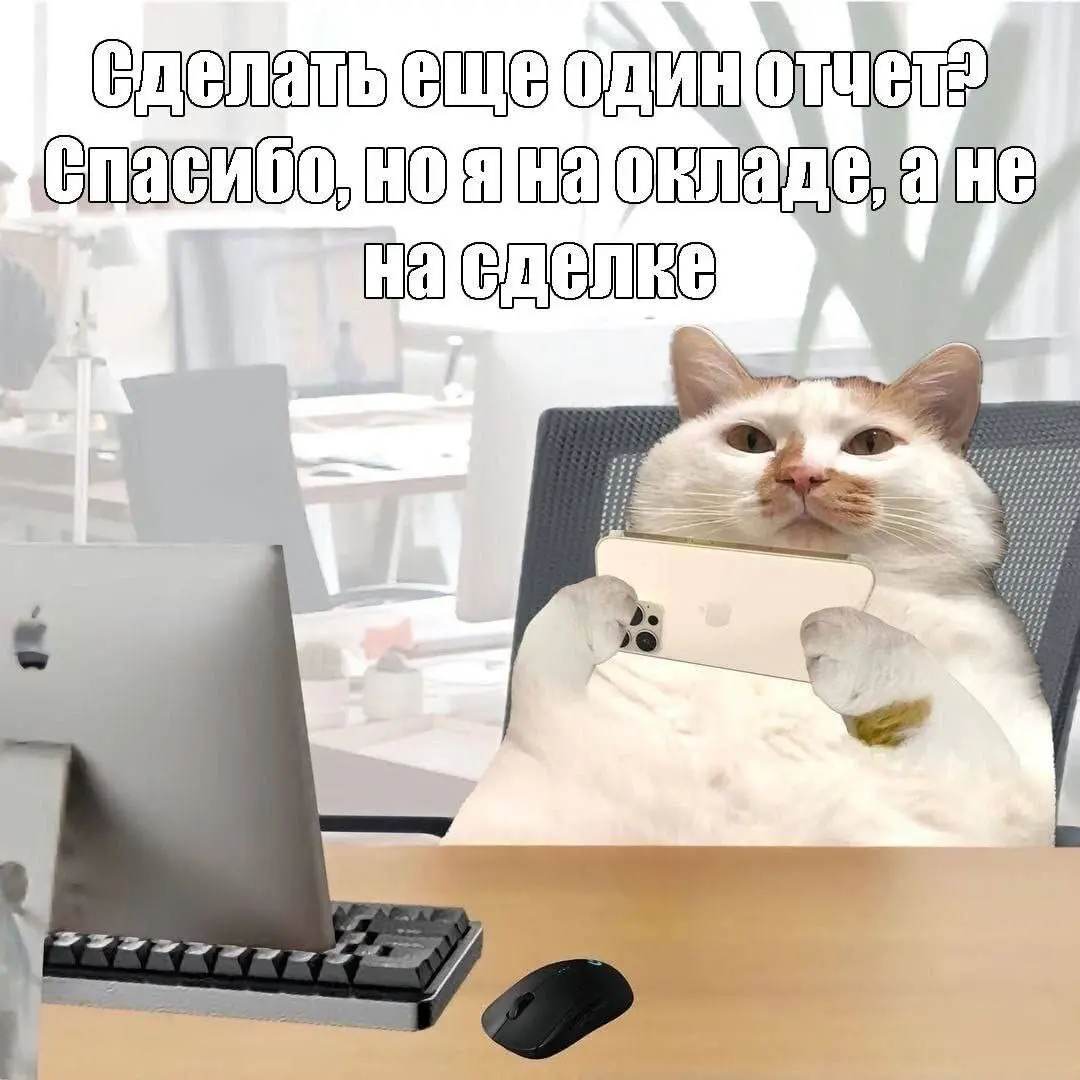 Правильно выстраиваем границы 😂
#Юмор@poldner #Коты@poldner | Сетка — социальная сеть от hh.ru