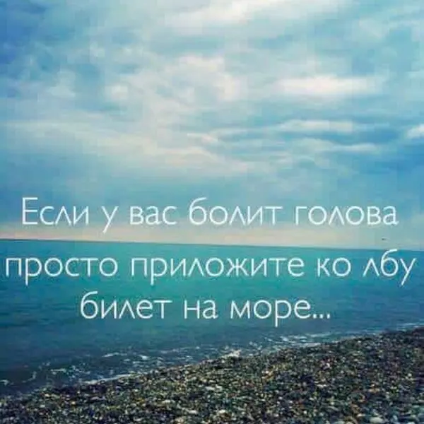 Кого я ищу, когда болит голова за результат: личный опыт | Сетка — социальная сеть от hh.ru