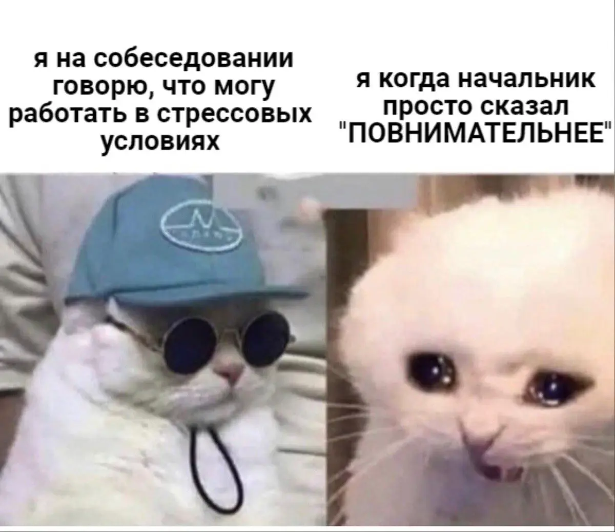 Сетка — социальная сеть от hh.ru