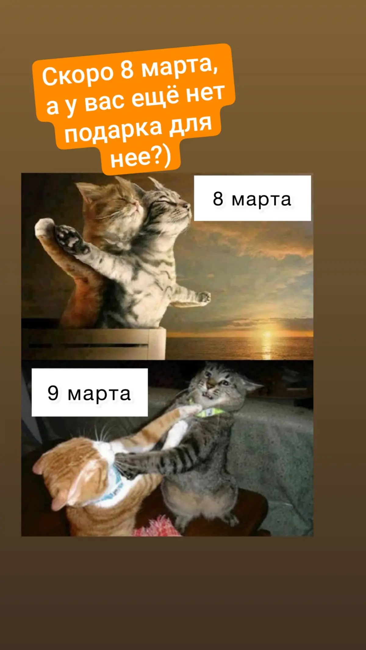 Про Нейроспринты 8 марта | Сетка — социальная сеть от hh.ru