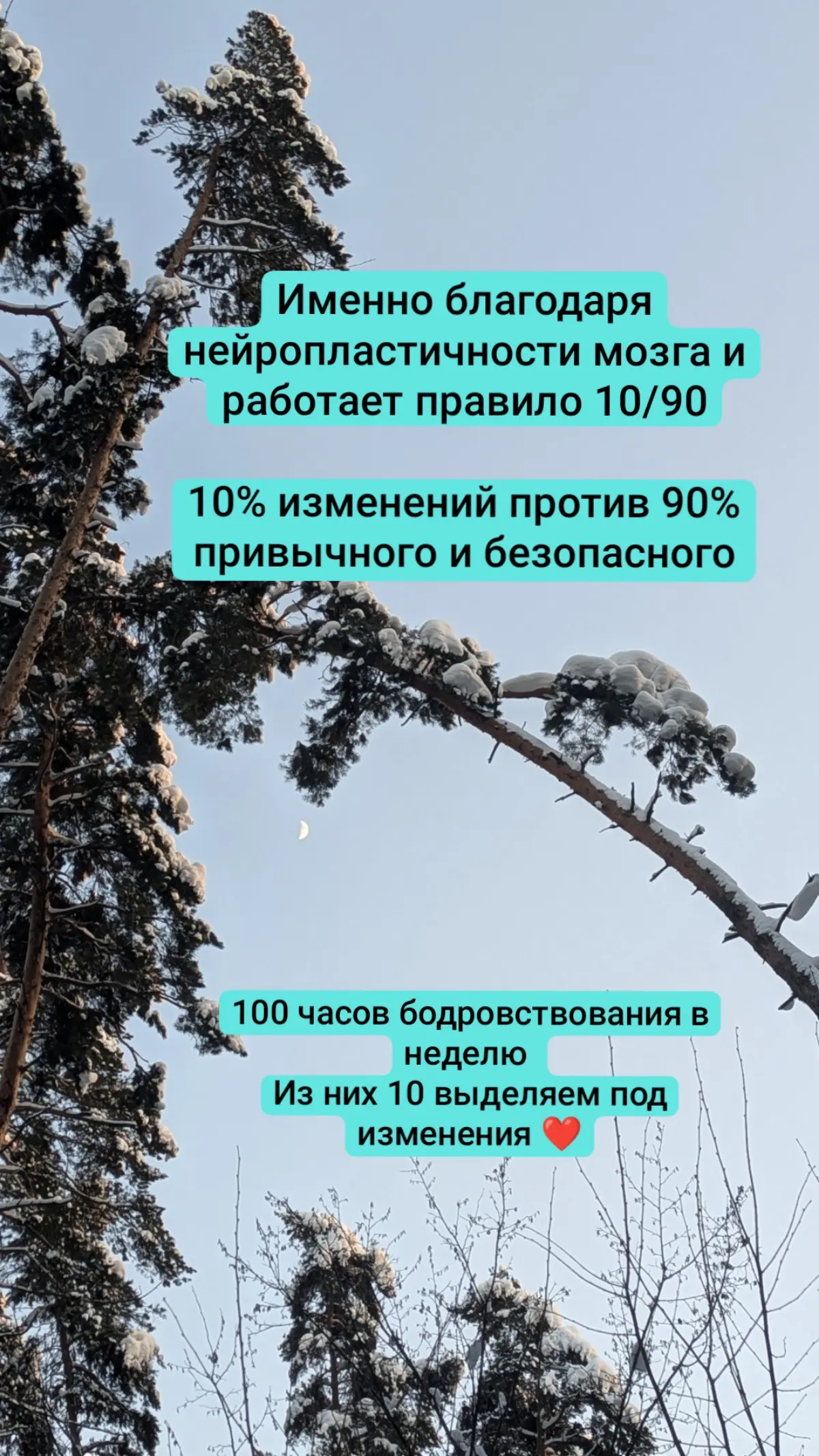 Про Нейроспринты 8 марта | Сетка — социальная сеть от hh.ru