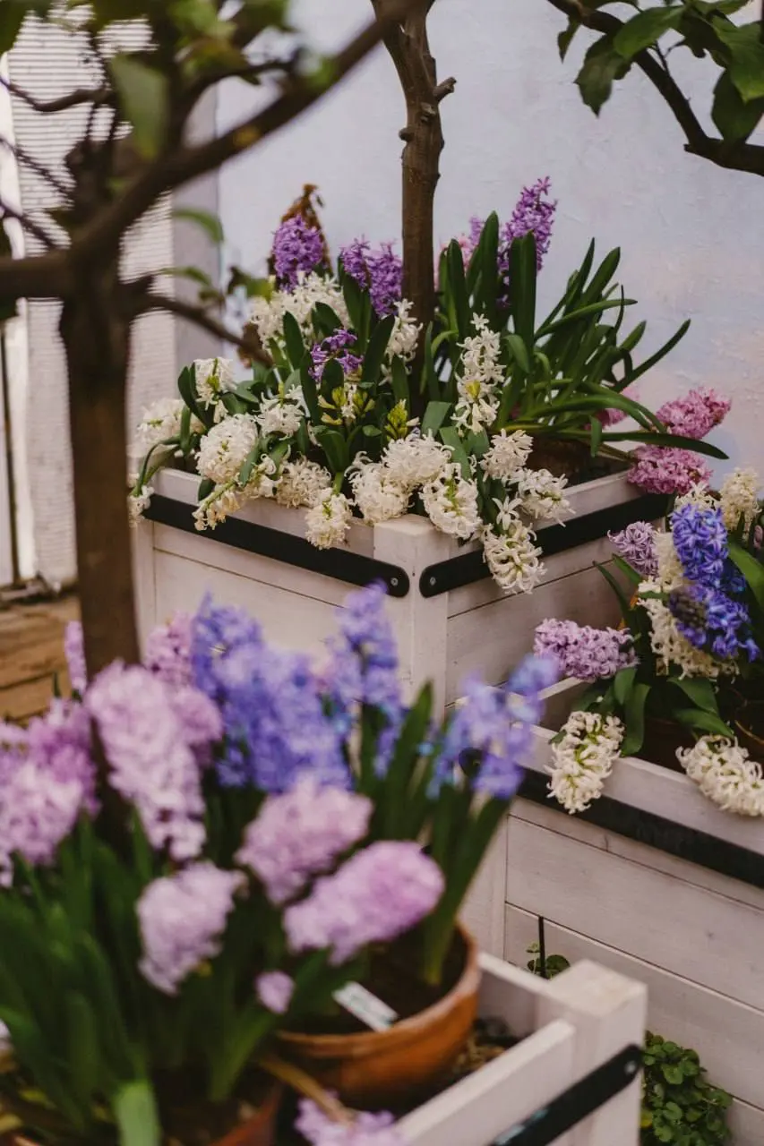 💐В Аптекарском огороде проходит выставка «Репетиция весны»
❤️ — прекрасно
📲Подпишитесь на Вдвижении
#выставки
В этом посте были ссылки, но мы их удалили по правилам Сетки | Сетка — социальная сеть от hh.ru