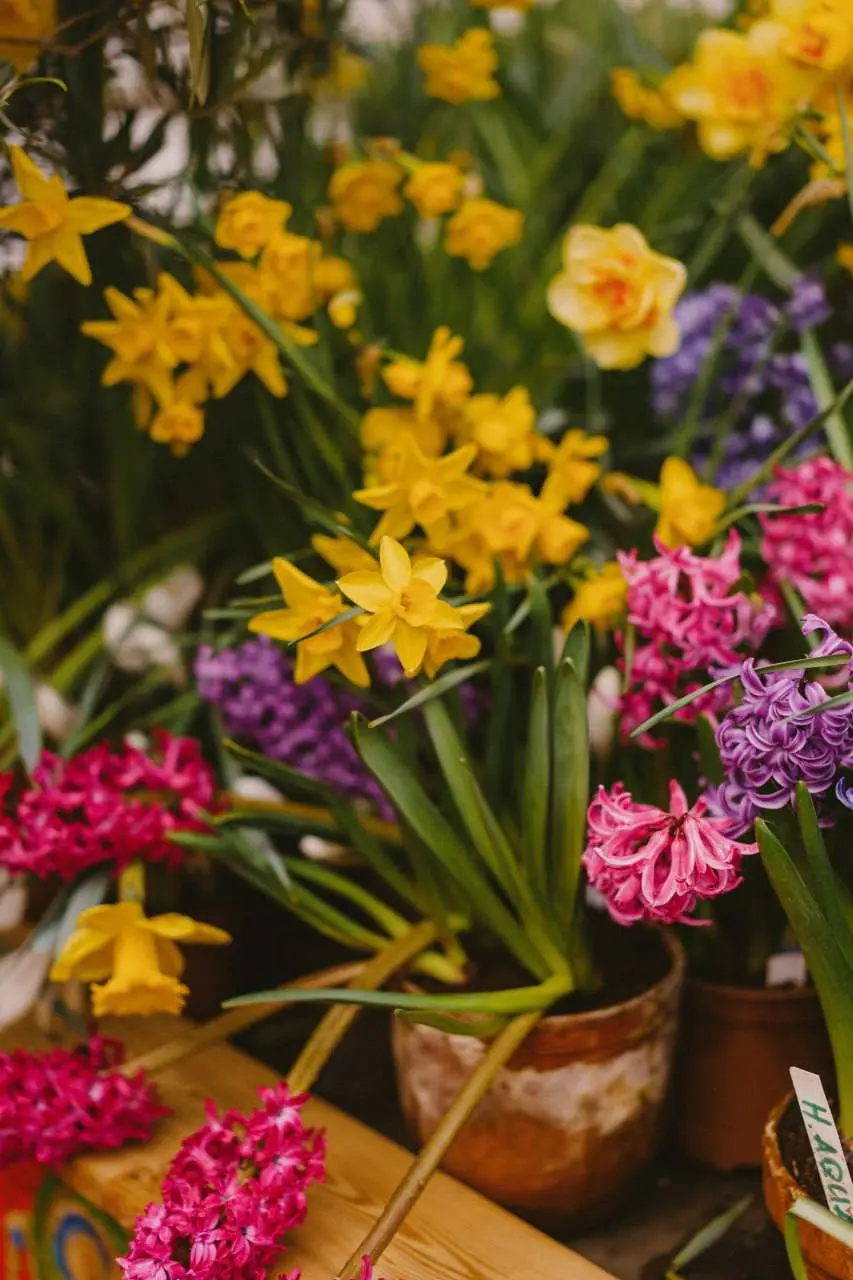💐В Аптекарском огороде проходит выставка «Репетиция весны»
❤️ — прекрасно
📲Подпишитесь на Вдвижении
#выставки
В этом посте были ссылки, но мы их удалили по правилам Сетки | Сетка — социальная сеть от hh.ru