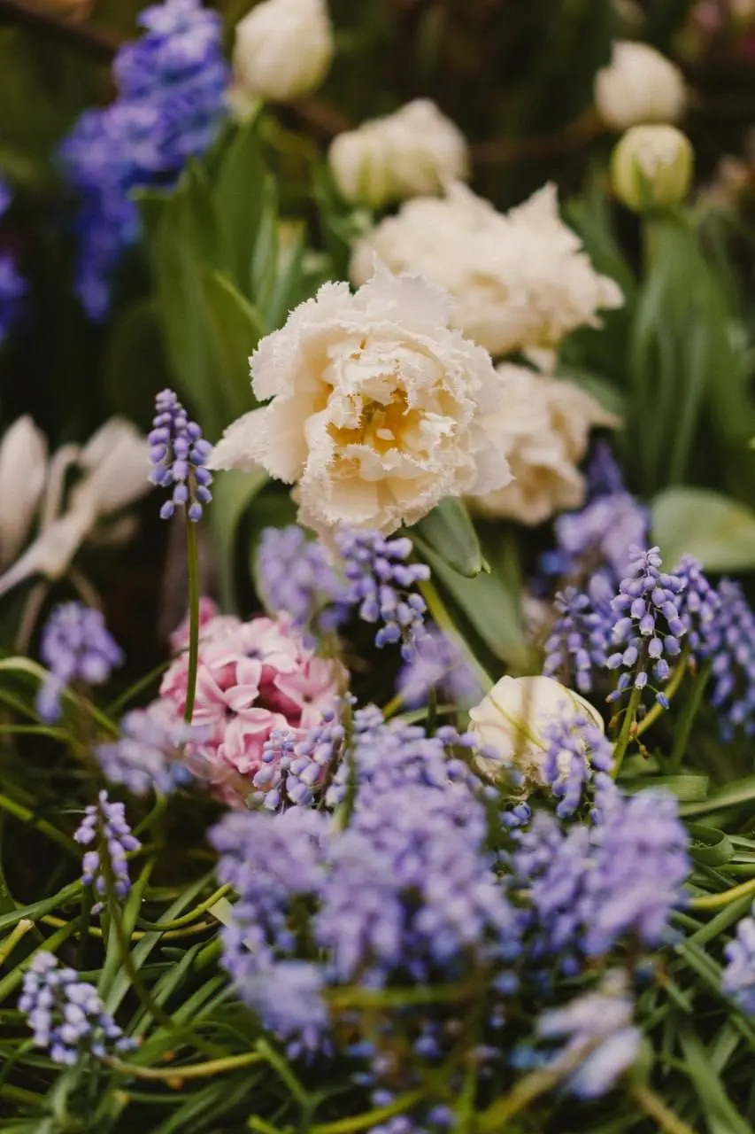 💐В Аптекарском огороде проходит выставка «Репетиция весны»
❤️ — прекрасно
📲Подпишитесь на Вдвижении
#выставки
В этом посте были ссылки, но мы их удалили по правилам Сетки | Сетка — социальная сеть от hh.ru