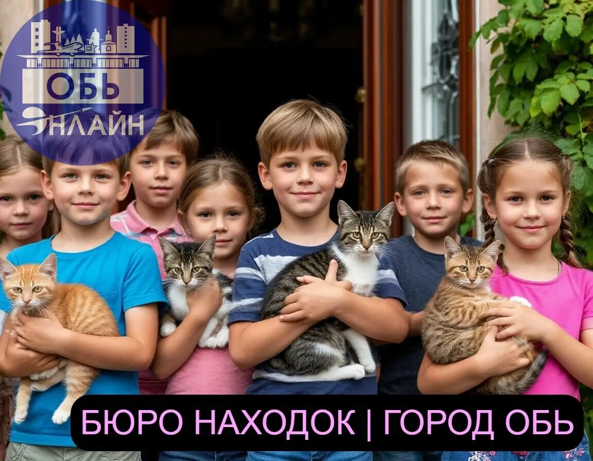 ↗ Зазевался я немножко —
Не закрыл входную дверь,
И у нас пропала кошка.
Где искать её теперь?
На чердак пришлось
залезть мне,
Обыскал я весь подвал.
В нашем доме восемь
лестниц, —
Я на каждой побывал | Сетка — социальная сеть от hh.ru