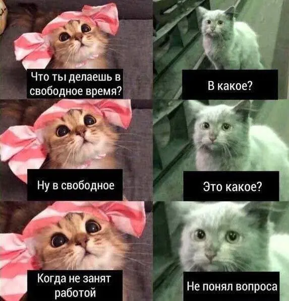 Привет всем кто на занятом 👋
Знайте, вы не одиноки )
🚀Дело во мне | Михайлов блог
В этом посте были ссылки, но мы их удалили по правилам Сетки | Сетка — социальная сеть от hh.ru