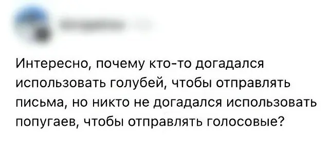 Мемы, которые мы заслужили. Подписывайся 😎 | Сетка — социальная сеть от hh.ru