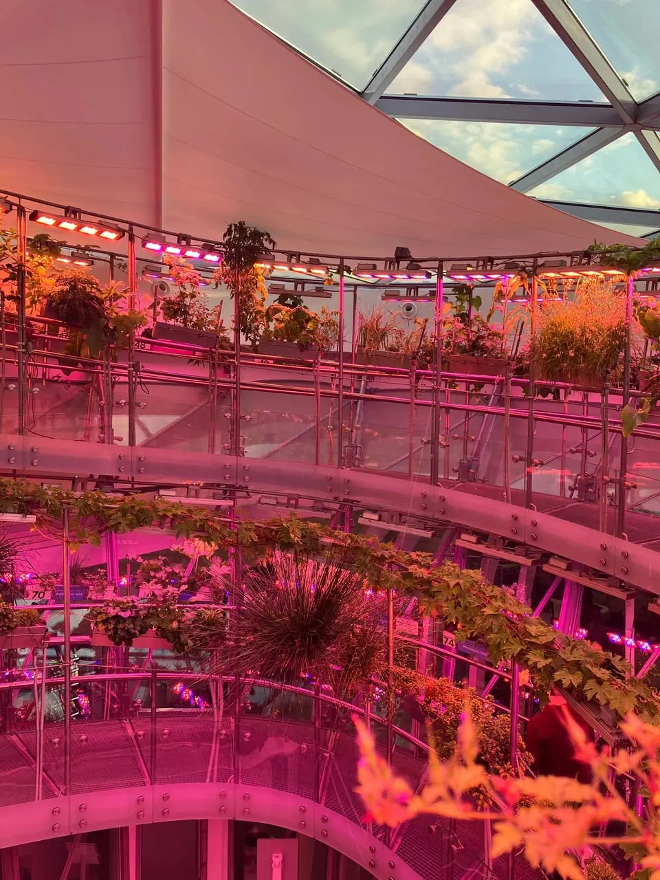 🗣Экскурсия «Флорариум | Сетка — социальная сеть от hh.ru