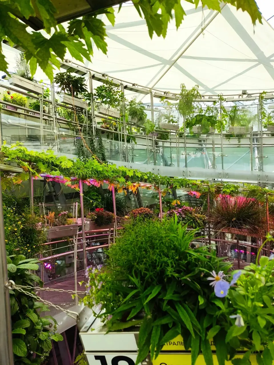 🗣Экскурсия «Флорариум | Сетка — социальная сеть от hh.ru