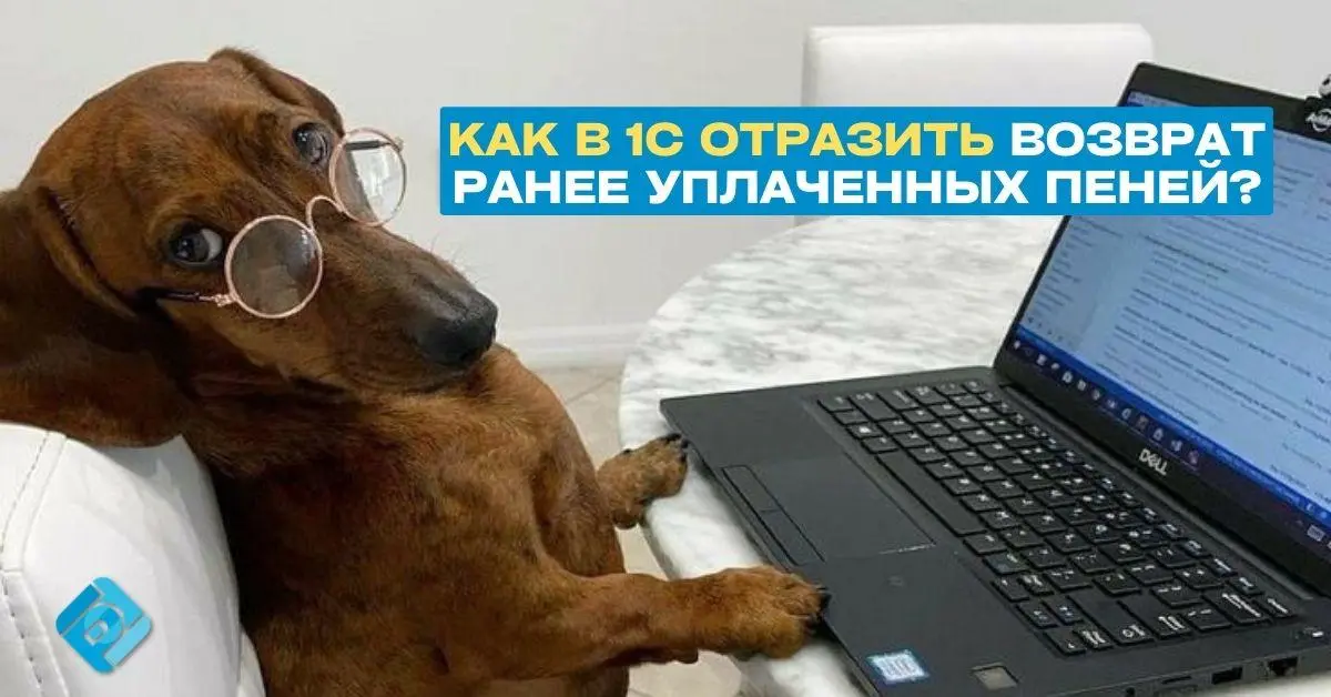 💡 Как в 1С отразить возврат ранее уплаченных пеней
Если пени были уплачены ранее, а потом налоговая их пересчитала и вернула сумму на ЕНС, отражать это как новое начисление пеней нельзя
➡️ Как правиль... | Сетка — социальная сеть от hh.ru