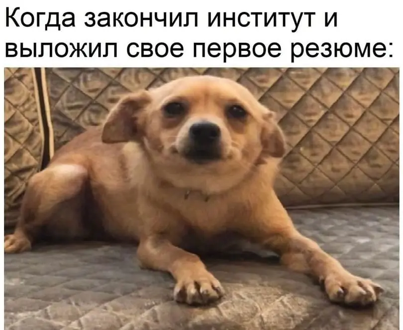 Они меня слышат! Начали ставить фото в резюме 📸 | Сетка — социальная сеть от hh.ru
