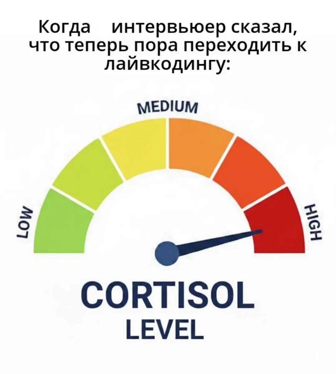 Для тех, кто работает на удаленке. Залетай 💊 | Сетка — социальная сеть от hh.ru