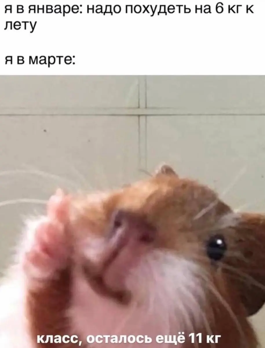 Когда в офисе бесплатное питание | Сетка — социальная сеть от hh.ru