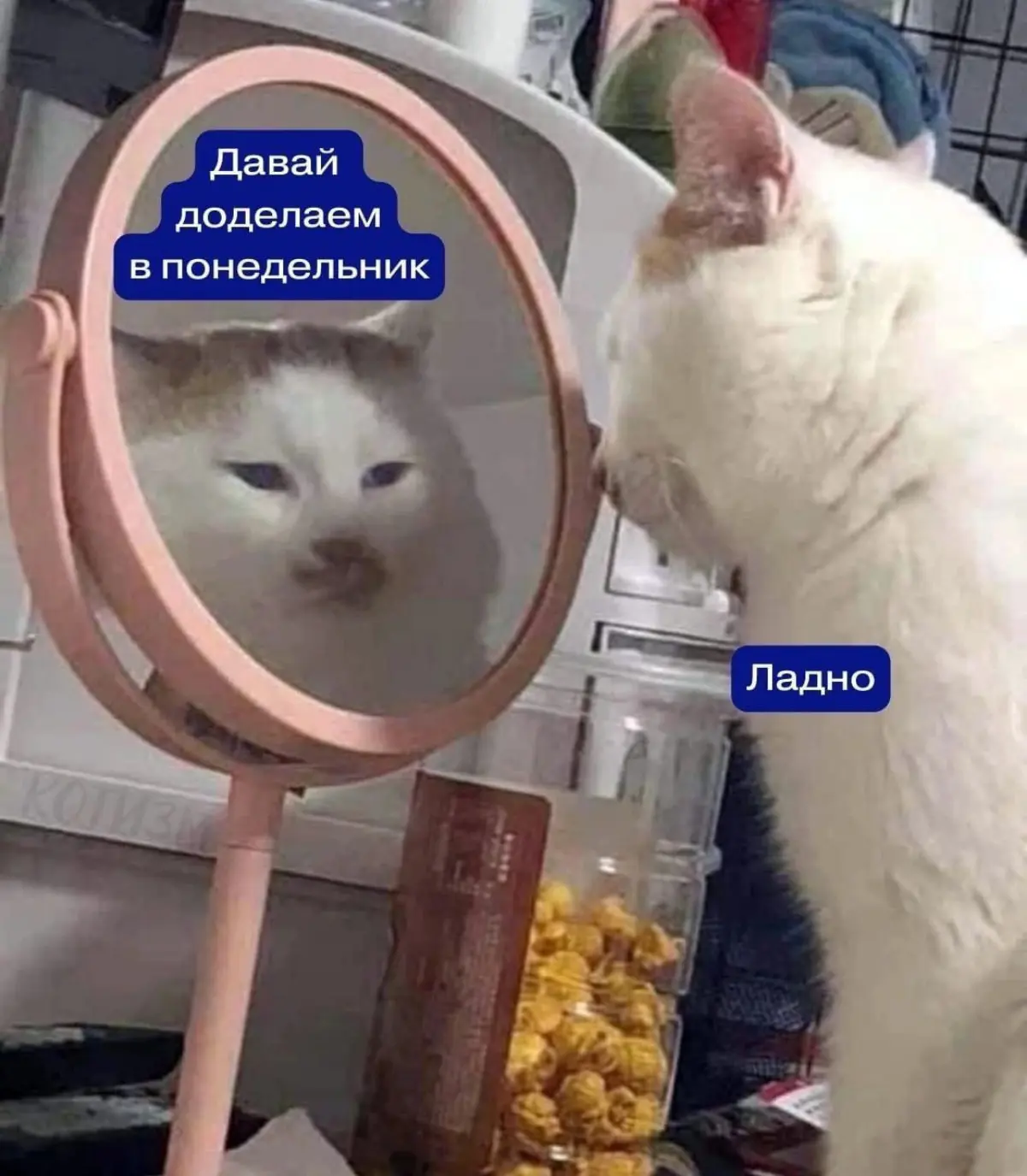 А вы откладываете на понедельник? | Сетка — социальная сеть от hh.ru