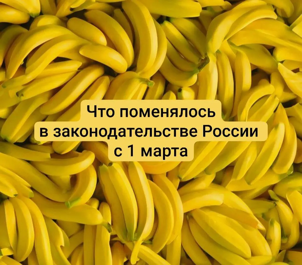 Бананы короче 14 см запрещено продавать с 1 марта😱
С 1 марта вступает в силу целый пакет изменений. Коротко — что реально важно ❗️
❗️ Интернет станет ещё более управляемым | Сетка — социальная сеть от hh.ru