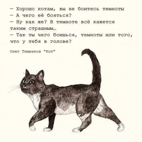 Мудрость от котика ❤️
#Юмор@poldner #Коты@poldner | Сетка — социальная сеть от hh.ru