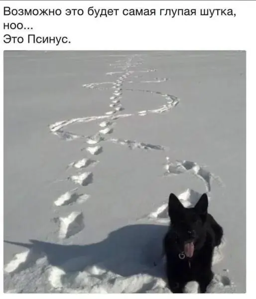 Касатики, касатики!
Что мы говорим в пятницу?
Мемы!
И вы будьте здоровы. | Сетка — социальная сеть от hh.ru