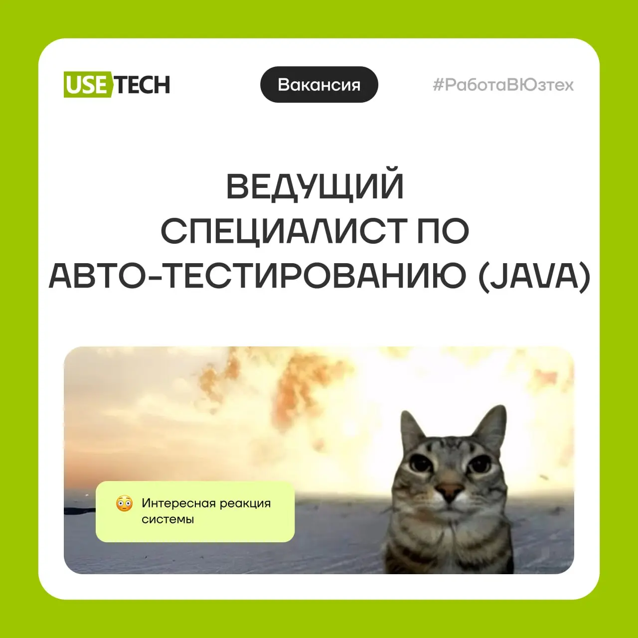 Кто сказал: «Давайте это автоматизируем»? Тебе к нам! 🚀
Ищем ведущего специалиста по авто-тестированию (Java), который поможет выстроить и развивать процессы автотестирования в команде | Сетка — социальная сеть от hh.ru