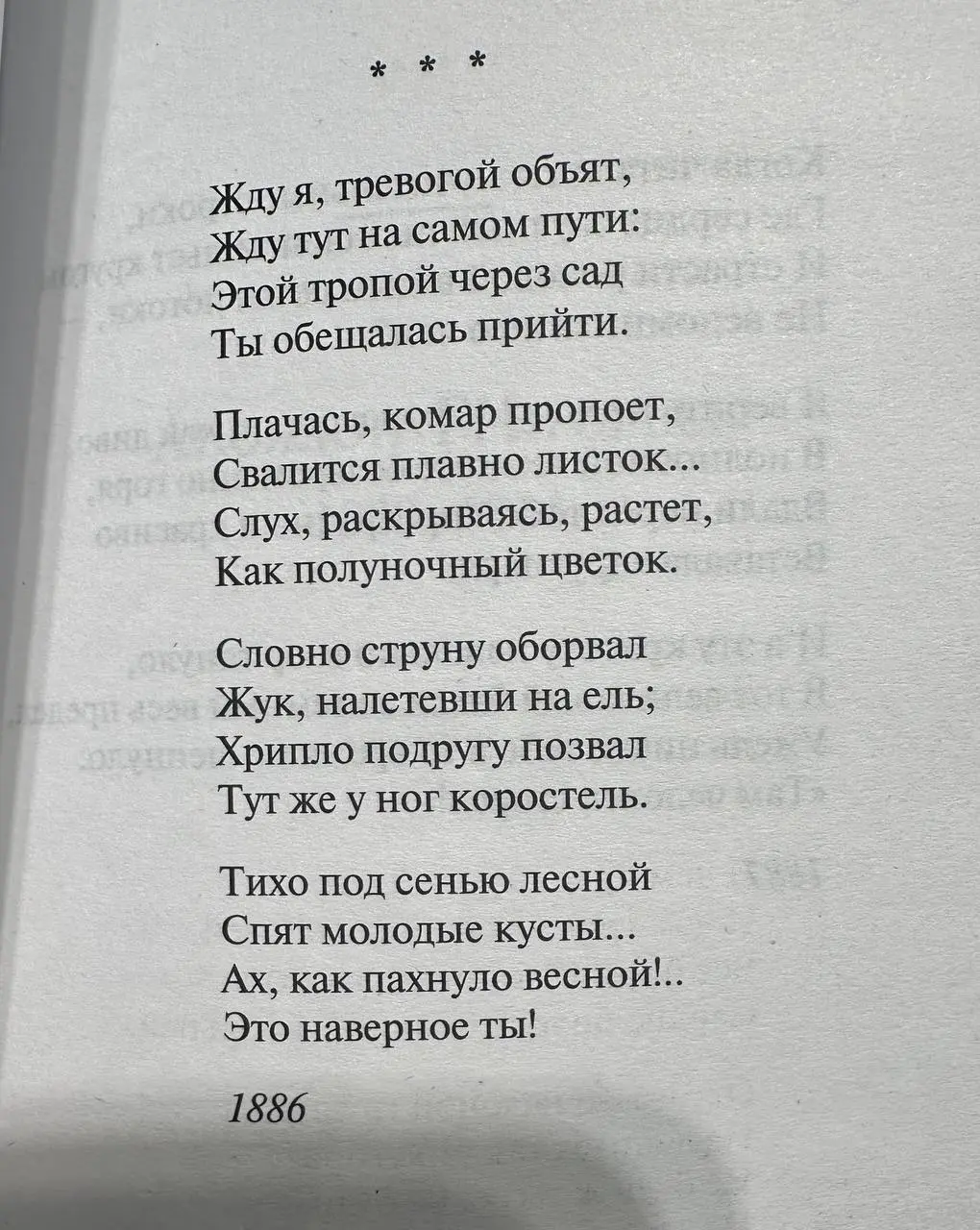 мое последнее свидание с собой в «Республике» | Сетка — социальная сеть от hh.ru