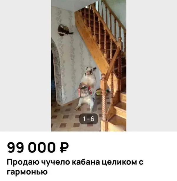 Тут дело даже не в том, что некто продает чучело кабана с гармонью, а в том, что кто-то это купил и установил у себя дома! | Сетка — социальная сеть от hh.ru