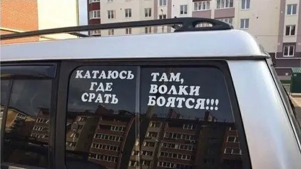 Мужик катается где срать - там волки боятся. Это где ж такое? | Сетка — социальная сеть от hh.ru