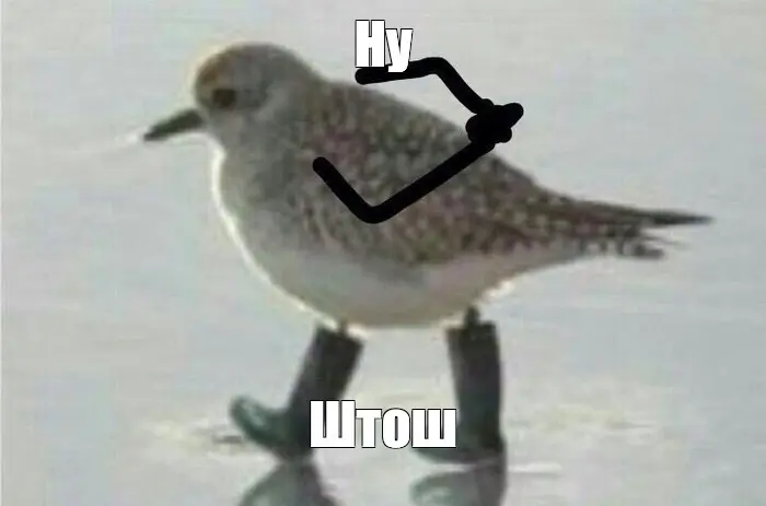 Преоффер - не гарант | Сетка — социальная сеть от hh.ru
