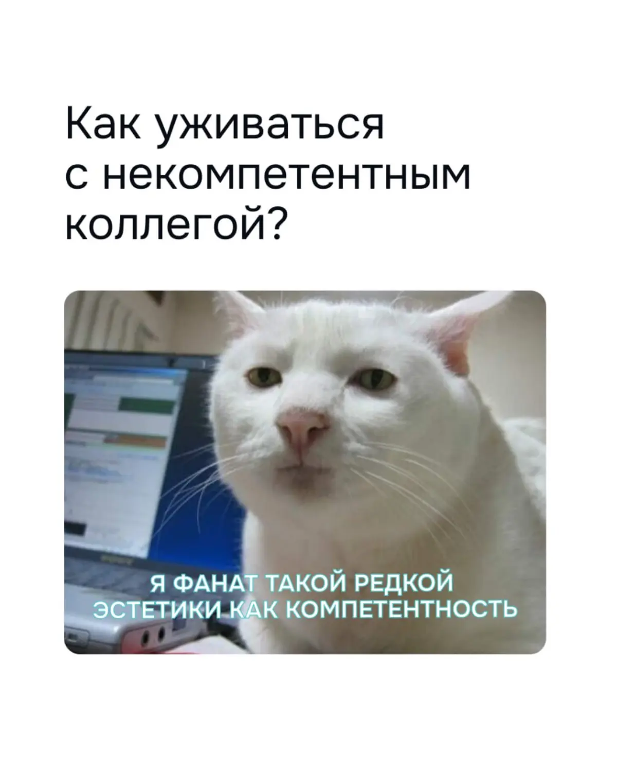 Как уживаться с некомпетентным коллегой | Сетка — социальная сеть от hh.ru