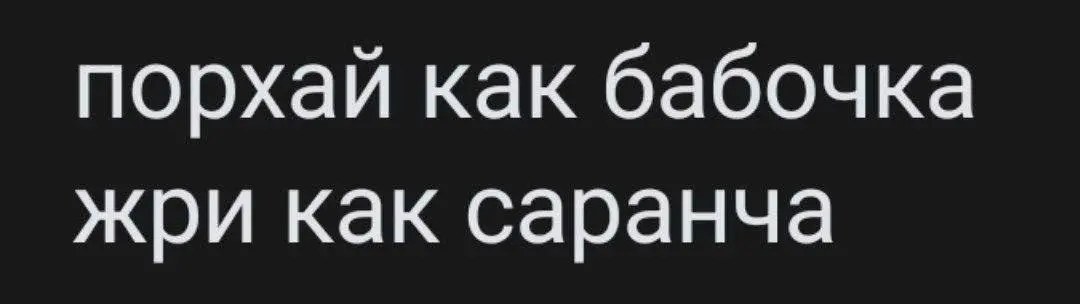 Про касты в культуре | Сетка — социальная сеть от hh.ru