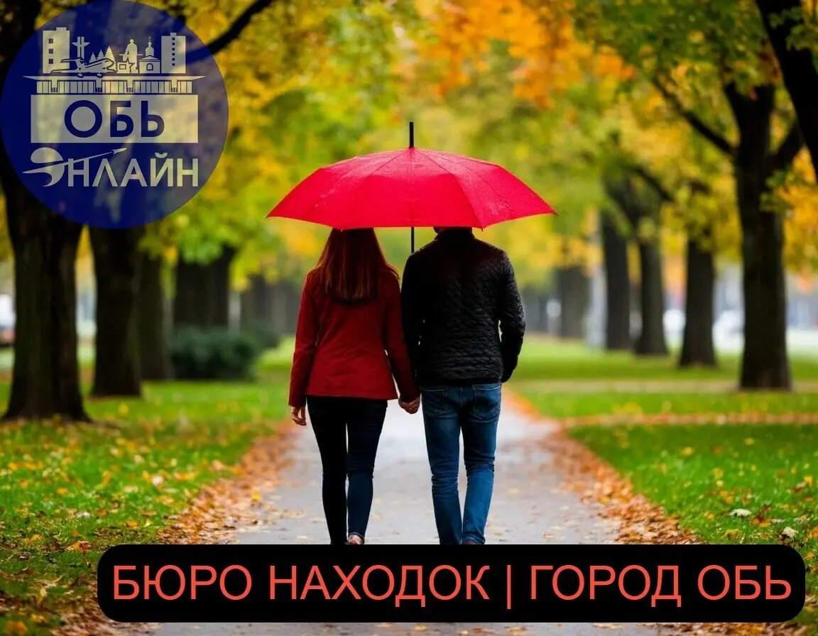 ↗ Я, потерявшая в скверике красный зонт,
хочу повстречать человека, его нашедшего.
Узнать его кругозор, духовный его горизонт,
причину понять везенья его сумасшедшего | Сетка — социальная сеть от hh.ru