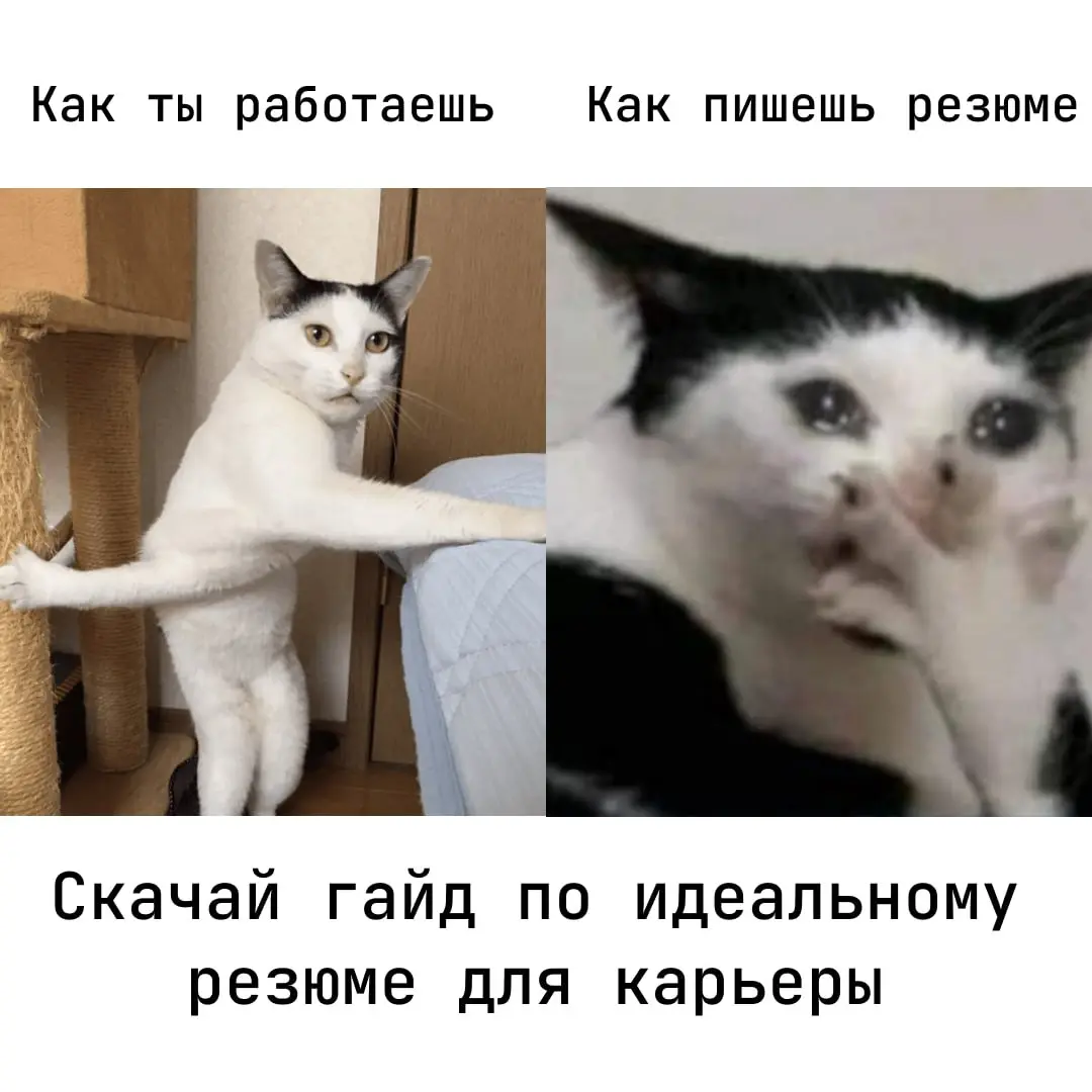 Вы открываете резюме. Смотрите. И закрываете.
Не потому что лень писать - а потому что в голове: «Ну и что тут такого? Ничего особенного».
Раздел «достижения» — пустой | Сетка — социальная сеть от hh.ru