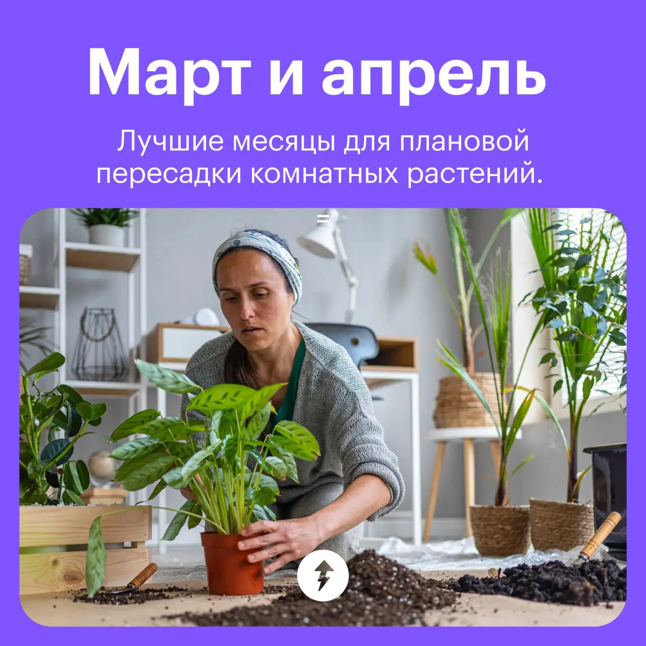 🪴🪏 Мы знаем, как вы проведете эти праздники
⚡️ Инструкция по озеленению дома
#уют | Сетка — социальная сеть от hh.ru